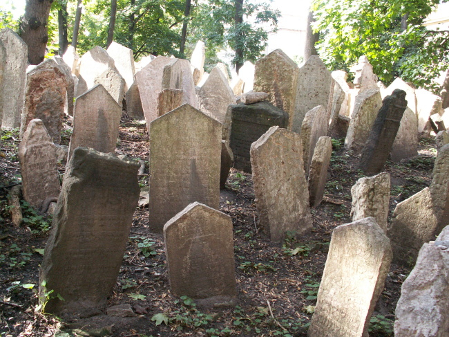 Z nÃ¡vÅ¡tÄ›vy na Å¾idovskÃ©m hÅ™bitovÄ›.