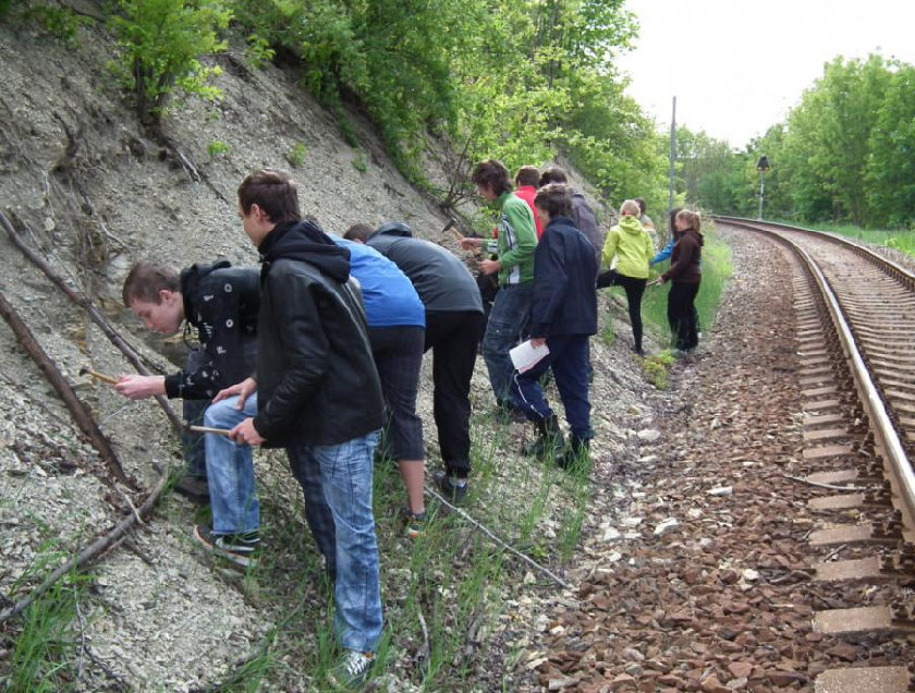 PÅ™i hledÃ¡nÃ­ zkamenÄ›lin ve VendolÃ­.