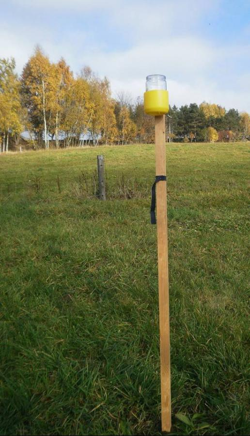 MÄ›Å™Ã­cÃ­ stanice K.SedlÃ¡kovÃ© v RohoznÃ©.