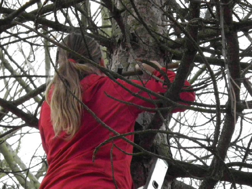 Eva pÅ™ipevÅˆuje na strom rehkovnÃ­k.