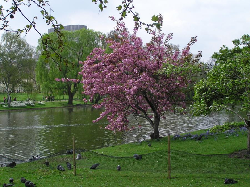 London - St JameÂ´s Park