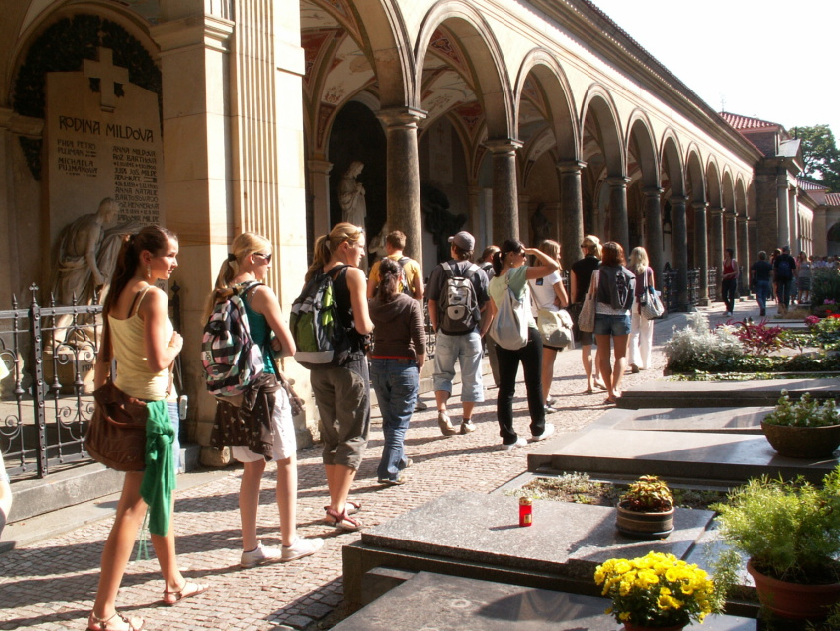 VyÅ¡ehrad, hÅ™bitov.