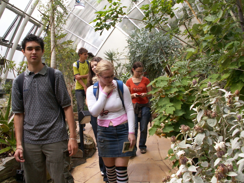 TrÃ³ja, ve sklenÃ­ku Fata morgÃ¡na BotanickÃ© zahrady.