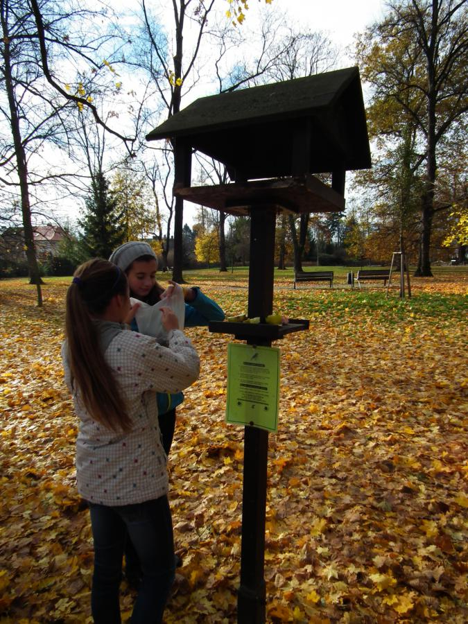 Prvnà aktivitou v sobotu 3. listopadu bylo naplnÄ›nà krmÃtka potravou pro ptáky v parku J. Palacha.