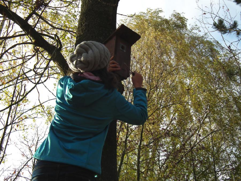 AniÄka pÅ™i ÄiÅ¡tÄ›nà sýkornÃku v areálu našà školnà zahrady.