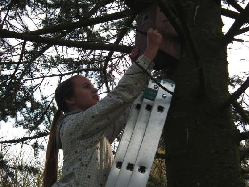 Zde na Å¡kolnà zahradÄ› Äistà budku pro sýkory KaÄka.