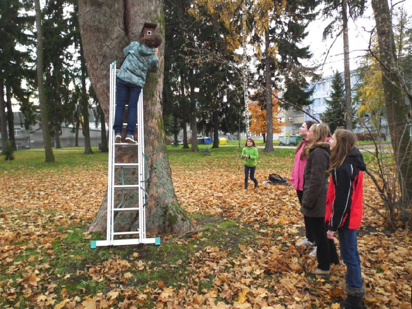 11. listopadu se Äistà budky - sýkornÃky - v parku za bývalým DDM.