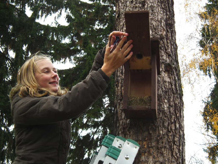 11. listopadu se Äistà budky - sýkornÃky - v parku za bývalým DDM.