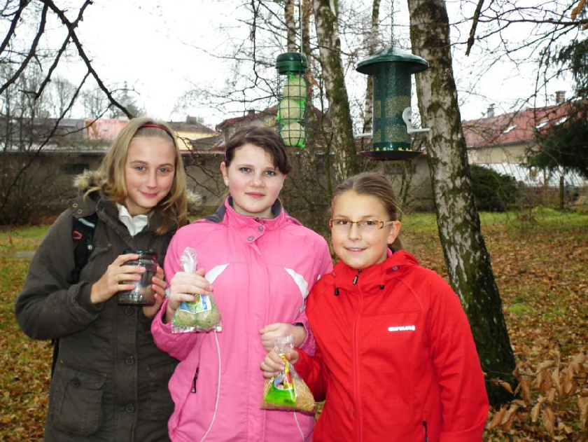 Andrea, Klára a Eva u krmÃtek na Å¡kolnÃm pozemku.
