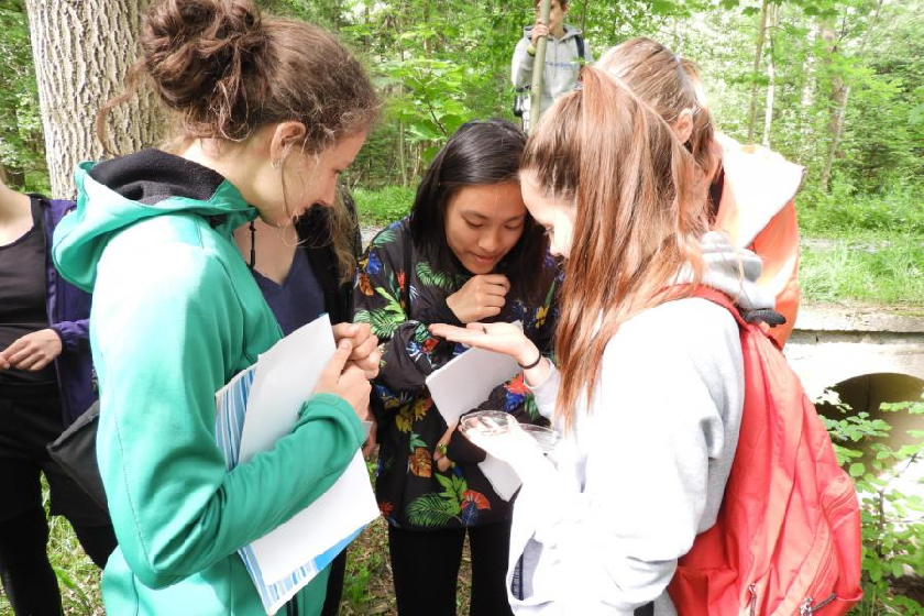 Ten chrostÃk je ale dobrý stavitel, že dÄ›vÄata?